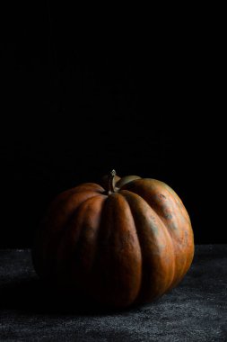 Koyu arkaplanda taze balkabağı. Dokulu turuncu balkabağı. Sonbahar hasadı. Balkabağı turtası için içerik.