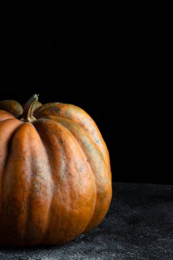 Koyu arkaplanda taze balkabağı. Dokulu turuncu balkabağı. Sonbahar hasadı. Balkabağı turtası için içerik.