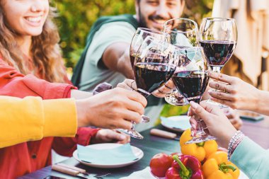 Diverse group of friends clinking red wine glasses while toasting in celebration during dinner party outdoors in Summer - people, friendship and alcohol lifestyle concept