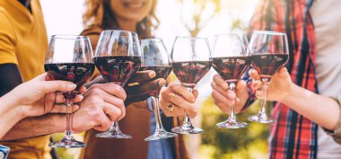 Altı kırmızı şarap kadehi yatay bir fotoğrafa dokunuyor, yaz boyunca kırsal alanda yapılan çok ırklı bir toplantıyı simgeliyor, muhtemelen bir piknik ya da arkadaşlarının yeniden bir araya gelişini..
