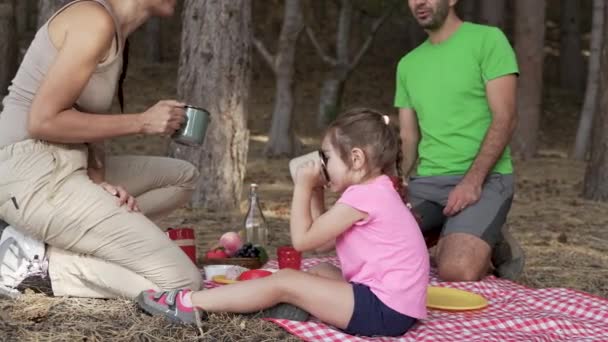 森林中的家庭野餐 一个小女孩用杯子喝着水 她的父母坐在她身边的毛毯上 享受大自然的拥抱 — 图库视频影像