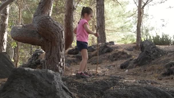 森林中的家庭冒险 父母对大自然的指导 就像穿着夏季运动服的家庭探索 爬过树枝和岩石 — 图库视频影像