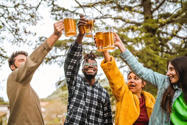 友人の多様なグループは 自然の背景の中で一緒に祝うトーストでビールグラスを上げます 現時点での喜びとカマルディーは 友情と団結を示しています — ストック写真