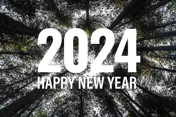 Viering 2024 Gelukkig Nieuwjaarsbericht Met Vette Witte Letters Tegen Een — Stockfoto