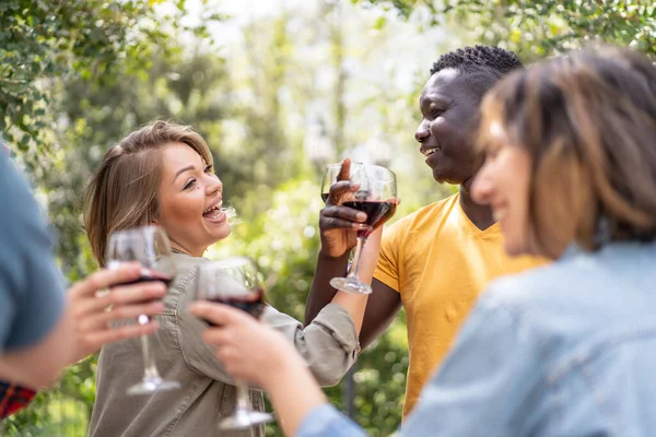 Een Groep Vrienden Toasten Met Rode Wijnglazen Een Openluchtbijeenkomst Symboliserend — Stockfoto