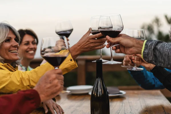 Friends Varying Ages Share Moment Joy Raising Glasses Toast Setting — Stock Photo, Image