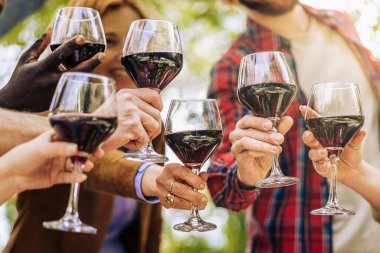 Şarabla kadeh kaldıran arkadaşlar - neşeli bir anı kutluyoruz- şarap kadehleri, neşeli bir toplantı, açık havada doğal bir ortamda kutlama.