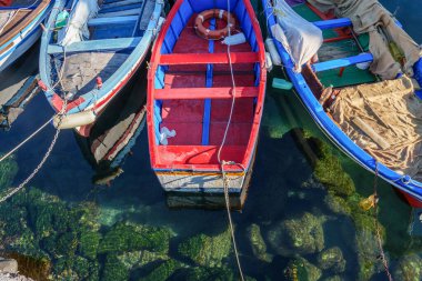 Berrak sularda demirli renkli ahşap botlardan oluşan canlı bir grup kayalık deniz tabanını gösteriyor. Geleneksel balıkçı tekneleri - Canlı renkleri ve berrak deniz suyunu yansıtan sahil limanı manzarası.