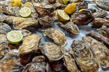 Limon ve limon dilimleriyle servis edilen taze istiridye. Gurme deniz ürünleri, kabuklu deniz ürünlerinin dokusunu gösteriyor. Çiğ istiridye tüketime hazır, restoranlar ve deniz ürünleri pazarları için mükemmel..