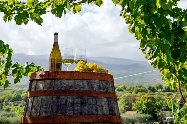 Beyaz şarap şişesi ve Sicilya üzüm bağında ahşap fıçıda iki bardak üzüm, doğal kırsal alan..