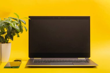 Teknoloji, cep telefonlu dizüstü bilgisayar ve sarı arka planda bitki.