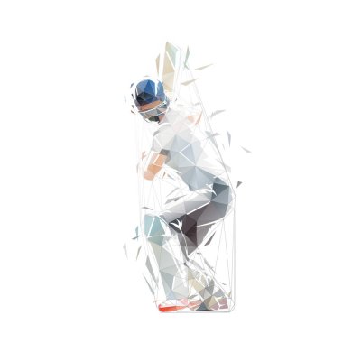 Cricket player, isolated low polygonal vector illustration, cricketer, striking batter, geometric drawing from triangles