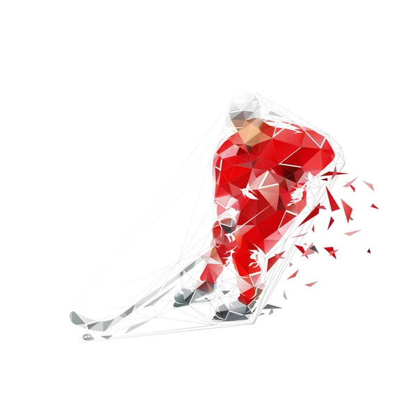 Jogador Hóquei Gelo Baixo Poli Isolado Vetor Ilustração Logotipo Hóquei — Vetor de Stock