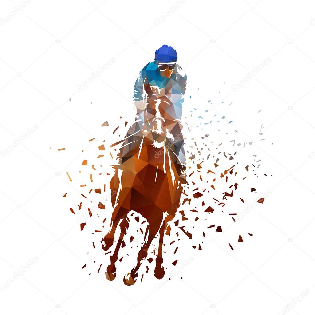 Horse racing, equestrian. Isolated low poly drawing. Geometric vector illustration