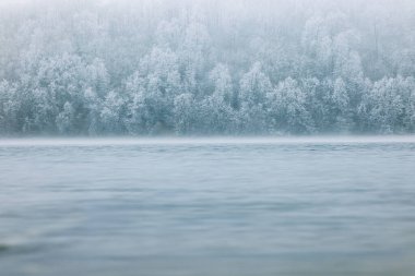Su ve donmuş ağaçlarla dolu kış manzarası. Kışın doğa.