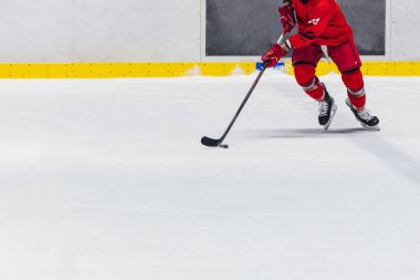 Buz hokeyi oyuncusu, kış takımı sporu