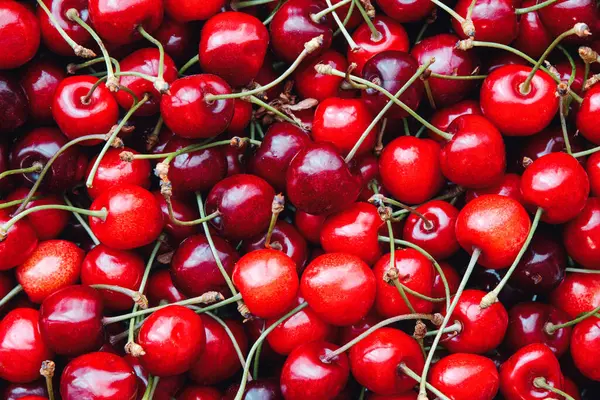 Kiraz arkaplan, meyveli üst görünüm, lezzetli kirazlar yakın plan.