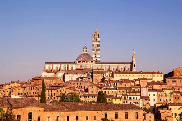 Paisaje Urbano Con Catedral Siena Visto Desde Famoso Punto Vista — Foto de Stock