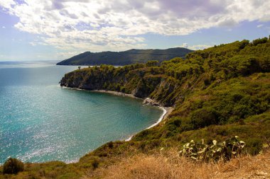 Acquarilli Sahili 'nin yüksek açılı manzarası, İtalya' nın Elba Adası, Stella Körfezi 'ndeki çıplaklar için karanlık bir kumsal.. 