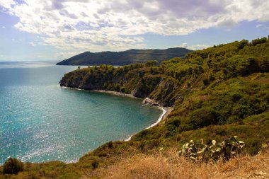 High angle view over Acquarilli Beach, a dark sand beach for nudist situated in the gulf of stella, Elba island, Italy.  clipart