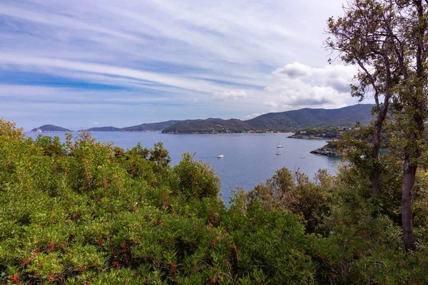 Vista Para Golfo Procchio Biodola Pequena Ilha Paolina Elba Island — Fotografia de Stock