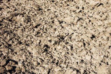 İzli kuru kum. Bir sürü ayak izi. Sert kuru toprak.. 