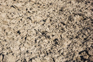 Tarım geçmişi. Alan dokusu hasat ediliyor. Zemine yakın çekim kalıbında kum. Dünya manzarası.