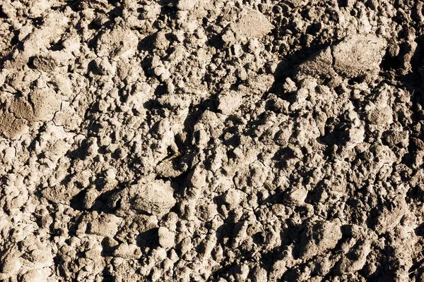 İzli kuru kum. Bir sürü ayak izi. Sert kuru toprak.. 