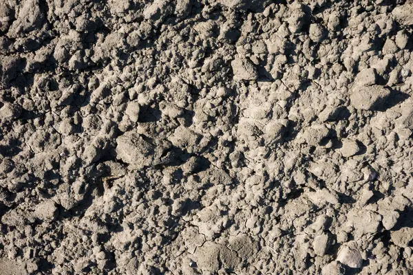 İzli kuru kum. Bir sürü ayak izi. Sert kuru toprak. Güneşli kum yüzeyi. Açık arazi detayı. Rastgele şekil ve çizgiler.