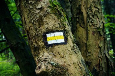 Ormandaki bir ağaç gövdesine sarı ve beyaz yürüyüş yolu işareti. Ormanlık yolda turistler ve doğa severler için yön sembolü.