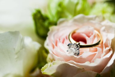 Gelin buketi. Gül arka planında altın bir yüzük. Aşkın mücevher sembolü..