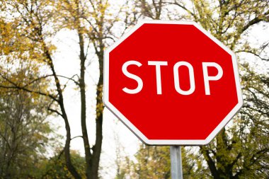 Kırmızı dur işareti ağaçlarda izole edilmiş. Park yerindeki trafik bilgileri. İşaretin arkasındaki orman.