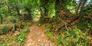 Lago de Sanabria y Sierra Segundera y de Porto Doğal Parkı, Zamora, Kastilya ve Leon, İspanya, Avrupa