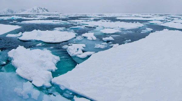 Drift Floating Ice Snowcapped Mountains Iceberg Ice Floes Albert Land — Foto Stock