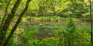 Fragas do Eume Doğal Parkı, Pontedeume, La Coruna, Galiçya, İspanya, Avrupa