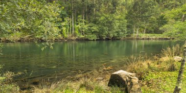 Fragas do Eume Doğal Parkı, Pontedeume, La Coruna, Galiçya, İspanya, Avrupa
