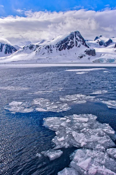 Drift Floating Ice Snowcapped Mountains Iceberg Ice Floes Albert Land — Fotografia de Stock