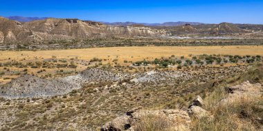 Tabernas Çölü Doğa Koruma Alanı, Sıcak Çöl İklim Bölgesi, Tabernas, Almerya, Endülüs, İspanya, Avrupa
