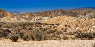Güz Karışık Ormanları, Bavyera Alpleri, Hohenschwangau, Fussen, Ostallgau, Bavyera, Almanya, Avrupa