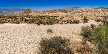Tabernas Çölü Doğa Koruma Alanı, Sıcak Çöl İklim Bölgesi, Tabernas, Almerya, Endülüs, İspanya, Avrupa