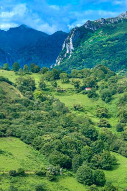 Dağ Sırası, Picos de Europa Ulusal Parkı, Asturias, İspanya, Avrupa