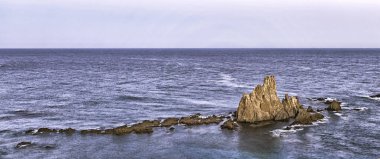 Las Sirenas Resifi, Cala de las Sirenas, Cabo de Gata-Nijar Doğal Parkı, UNESCO Biyosfer Rezervi, Sıcak Çöl İklim Bölgesi, Almerya, Endülüs, İspanya, Avrupa