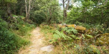 Lago de Sanabria y Sierra Segundera y de Porto Doğal Parkı, Zamora, Kastilya ve Leon, İspanya, Avrupa