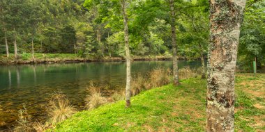 Fragas do Eume Doğal Parkı, Pontedeume, La Coruna, Galiçya, İspanya, Avrupa