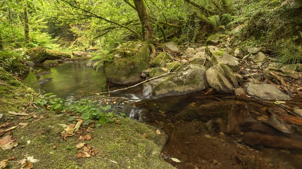 Fragas do Eume Doğal Parkı, Pontedeume, La Coruna, Galiçya, İspanya, Avrupa