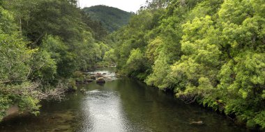 Fragas do Eume Doğal Parkı, Pontedeume, La Coruna, Galiçya, İspanya, Avrupa