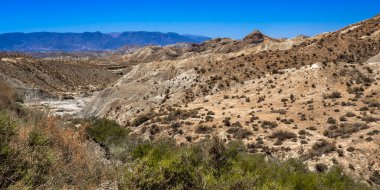 Tabernas Çölü Doğa Koruma Alanı, Sıcak Çöl İklim Bölgesi, Tabernas, Almerya, Endülüs, İspanya, Avrupa