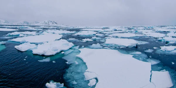 Drift floating Ice, Albert I Land, Arctic, Spitsbergen, Svalbard, Norway, Europe