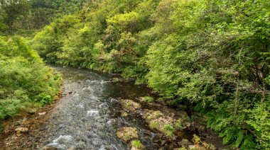 Fragas do Eume Doğal Parkı, Pontedeume, La Coruna, Galiçya, İspanya, Avrupa