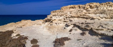 Antik Fosil Dune, Oolites, Los Escullos, Cabo de Gata-Nijar Doğal Parkı, UNESCO Biyosfer Rezervi, Sıcak Çöl İklim Bölgesi, Almerya, Endülüs, İspanya, Avrupa